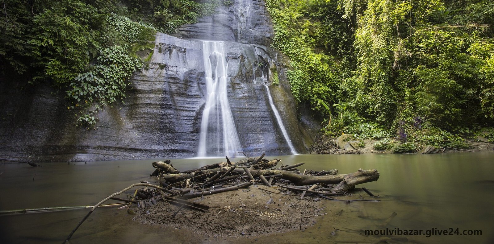 মৌলভীবাজার জেলার জনপ্রতিনিধি