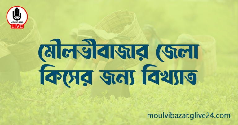 মৌলভীবাজার জেলা কিসের জন্য বিখ্যাত