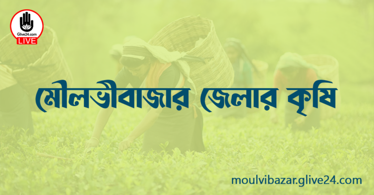 মৌলভীবাজার জেলার কৃষি