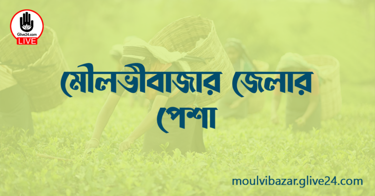 মৌলভীবাজার জেলার পেশা