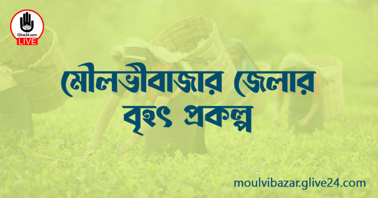 মৌলভীবাজার জেলার বৃহৎ প্রকল্প