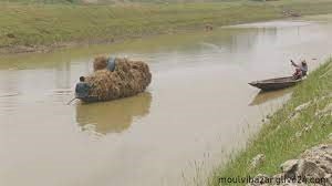 স্থায়ী জলাবদ্ধতা নিরসন বোরো উৎপাদনে ব্যাপক সফলতা